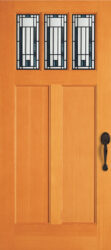 36933-Palomar-Fir