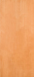 49900-EPD-Fir