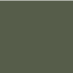 SW2816 Dark Green