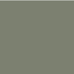 SW6186 Dried Thyme