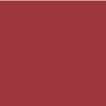 SW6594 Poinsettia
